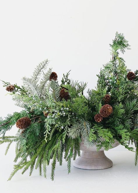 Winter Flower Arrangements, Holiday Floral Arrangements, Winter Floral Arrangements, Winter Arrangements, Norfolk Pine, Winter Centerpieces, Christmas Bouquet, Christmas Flower Arrangements, Holiday Greenery