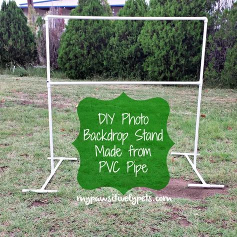 25 DIY Backdrop Stand Ideas to Showcase Your Style Pet Photo Backdrop Ideas, Diy Photo Backdrop Stand, Photo Backdrop Frame, Pvc Backdrop Stand, Pet Websites, Diy Backdrop Stand, Pvc Backdrop, Photo Backdrop Stand, Diy Photo Booth Backdrop