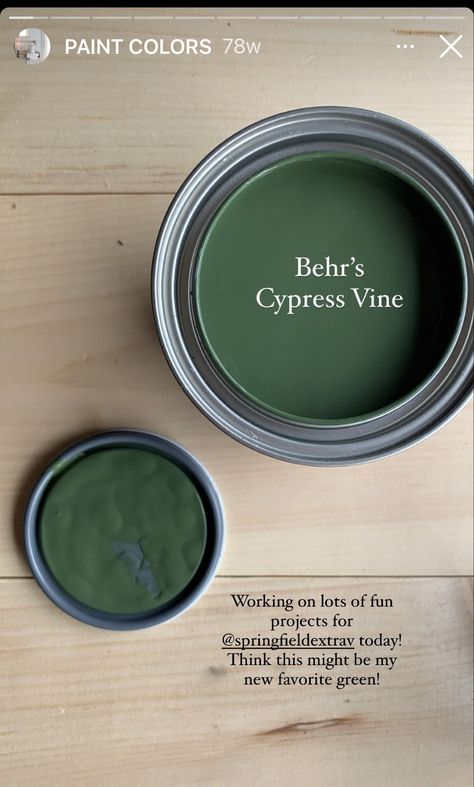 Matte Green Paint, Green Painted Fireplace Mantel, Forest Green Paint Behr, Behr Cypress Vine Paint, Behr Paint Dark Green, Rustic Green Paint Colors, Behr Olive Green, Cypress Vine Behr, Behr Paint Green Colors