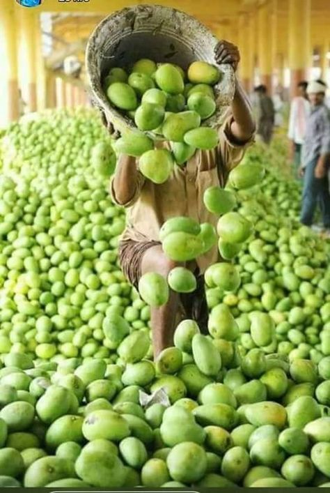 Mango Farm, Durga Mata, Pakistan Culture, Balochi Dress, Fruit Market, Indian Colours, Farm Photography, Sai Ram, Indian Culture