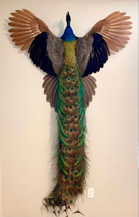 Peacock Reference, Peacock Anatomy, Painting Ideas On Canvas Nature, New Canvas Painting, Peacock Mythical Creature, Peacock Wings Wallpaper, Cool Birds, Acrylic Painting Ideas On Canvas, Peacock Wings