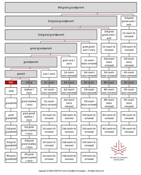 Family Relationship Chart, Family History Organization, Family Tree Book, Free Genealogy Sites, Family Tree Maker, Estate Planning Checklist, Family History Projects, Relationship Chart, Genealogy Forms