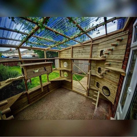 Catio Plans, Diy Cat Enclosure, Cat Habitat, Outdoor Pet Enclosure, Outdoor Cat Shelter, Cat Fence, Cat Patio, Outdoor Cat Enclosure, Cat Run