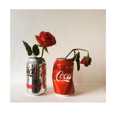 Six Gallery رسم كاريكاتير, Trendy Plants, Tumblr Photography, Arte Inspo, Still Life Art, Rose Wallpaper, Red Aesthetic, Photo Reference, Infj