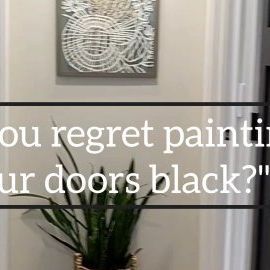 Rachel | DIY & Design on Instagram: "NO REGRETS 🖤🚪 Some have commented saying that I'll regret painting our doors black. I honestly can't imagine that I will! A couple of years ago, I started by painting the front door in our home with Iron Ore. That led to the doors in our garage. Then, in March 2023, I painted the first door in our hallway. Since then, every door in our entire home has been painted. I certainly hope that I'll never get tired of them. Because that's a LOT OF DOORS to redo! 21, to be exact! Doors: Iron Ore (Sherwin-Williams color) Walls: Windfresh White (SW color) Trim: Simply White ( Benjamin Moore) Ways to shop: 🖤Like and comment "shop," and I'll send you links to decor and products I used to paint. 🖤Click the link in my bio and shop my Amazon store. 🖤Doors were pu Regret Painting, Windfresh White, Painting The Front Door, Iron Ore Sherwin Williams, White Benjamin Moore, Color Walls, Sherwin Williams Colors, House Updates, Iron Ore