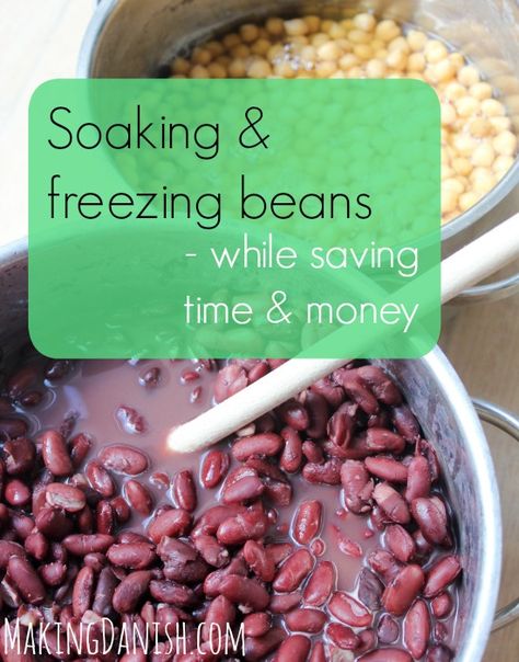 Soaking and freezing beans Mayocoba Beans, Freeze Beans, House Management, Cook Beans, Cranberry Beans, How To Soak Beans, Family Recipe Book, Pork N Beans, Navy Bean