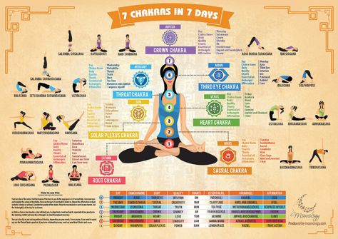 Yoga Infographic on Behance Kundalini Yoga For Beginners, Yoga Infographic, About Chakras, Branding Infographic, Spiritual Evolution, Chakra Colors, Energy Healing Reiki, Energy Medicine, Spiritual Manifestation