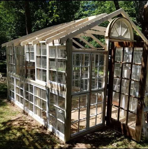 Window Pane Greenhouse, Outdoor Greenhouse Ideas, Greenhouse Floor Ideas, Window Sunroom, Greenhouse Floor, Greenhouse Winter, Studio Greenhouse, Greenhouses Ideas, Old Window Greenhouse