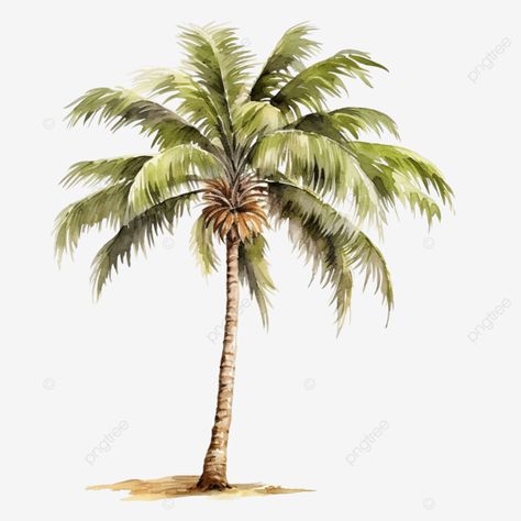 palm tree watercolor illustration clip art Watercolour Palm Tree, Coconut Tree Watercolor, Coconut Tree Illustration, Coconut Tree Png, Palm Trees Illustration, Coconut Illustration, Palm Tree Watercolor, Palm Tree Illustration, Watercolor Palm Tree