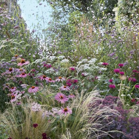 Nature, Planting Colour Schemes, Crocosmia Combinations, Planting Schemes Uk, Prairie Garden Design, Matrix Gardening, Garden Colour Schemes, Monochromatic Garden, Garden Color Scheme