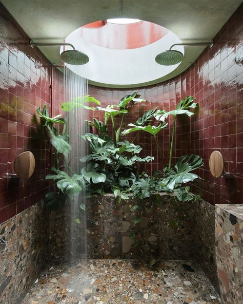 All this rainy weather has me thinking about this dream rain shower situation I had saved a bit ago. There’s just something so inherently cozy and heavenly about mixing a mature lived-in monstera plants and terrazzo stone…I am in love. Is it just me or is this now a collective love affair? #bathrooms #rainshower #terrazzo #plantlife🌱 Rainfall Shower Ideas, Plants In Shower, Terrazzo Tile Bathroom, Bathrooms Aesthetic, Greenhouse Bathroom, Surf Bungalow, Earth Bathroom, Bathroom Bohemian, Rain Shower Bathroom