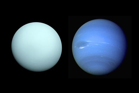 {    NASA EYES NEPTUNE AND URANUS FOR MISSIONS IN THE 2030S    }  #NewScientist .... "Four possible missions to the ice giants are being proposed, including orbiters and a fly-by, to tell us what they’re made of and how such planets form.".... https://www.newscientist.com/article/2137606-nasa-eyes-neptune-and-uranus-for-missions-in-the-2030s/?utm_campaign=Echobox&utm_medium=Social&utm_source=Facebook#link_time=1497620247 Tata Surya, Ice Giant, New Scientist, Future Technology, Cool Technology, Spacecraft, Nasa, Planets, Entertainment