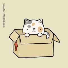 Cat in a box Cat In Box Illustration, Cat In Box Drawing, Cat In A Box Drawing, Science Cat, Dragon Box, Funny Animal Comics, Soft Kitty Warm Kitty, Cats Art Drawing, Pet Illustration