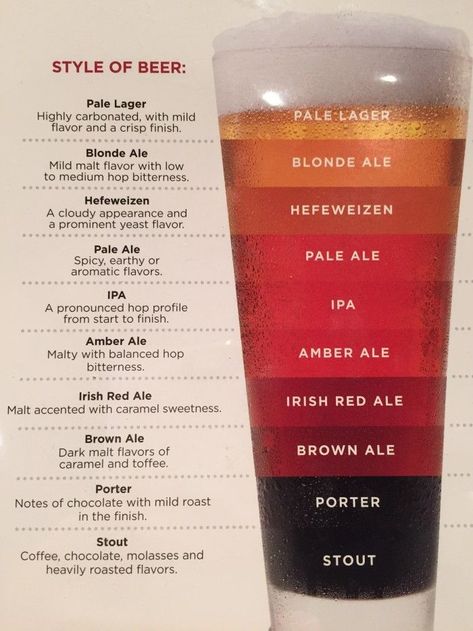 Beer Infographic, Different Types Of Beer, Beer Types, Beer Guide, Pale Lager, Types Of Beer, Blonde Ale, Beer Tasting, Beer Recipes