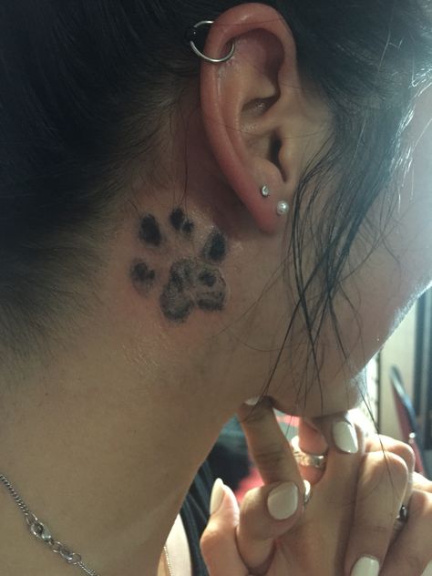 Paw Behind Ear Tattoo, Pet Paws Tattoo, Behind Ear Tattoo Paw Print, Dog Paw Tattoo Behind Ear, Pawprint Tattoo Behind Ear, Paw Tattoo Behind Ear, Paw Print Tattoo Behind Ear, Dog Ears Tattoos, Cat Print Tattoo