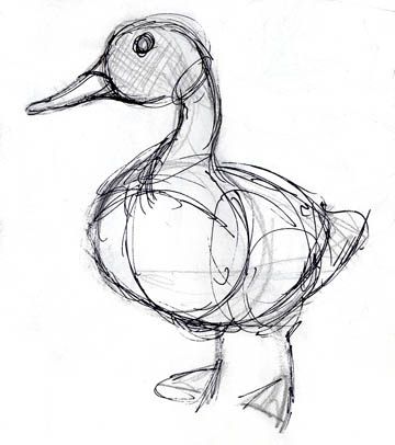 duck Duck Drawing, Animal Drawings Sketches, Duck Art, A Duck, Arte Inspo, Bird Drawings, Art Tutorial, Art Tutorials Drawing, Sketchbook Art Inspiration