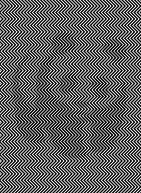 Visual Illusion, Optical Illusions Art, Illusion Art, White Image, Optical Illusions, Mind Blown, Interesting Art, Poster Design, Mindfulness