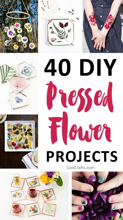 We compiled a list of 40 DIY pressed flower ideas for you to make. If you love beautiful flowers, then this pressed flowers roundup will inspire you. Dried And Pressed Flowers, Flower Art Ideas, Dried Flowers Crafts, Pressed Flowers Diy, Kerajinan Diy, Cuadros Diy, Flower Projects, Pressed Flower Crafts, Fleurs Diy