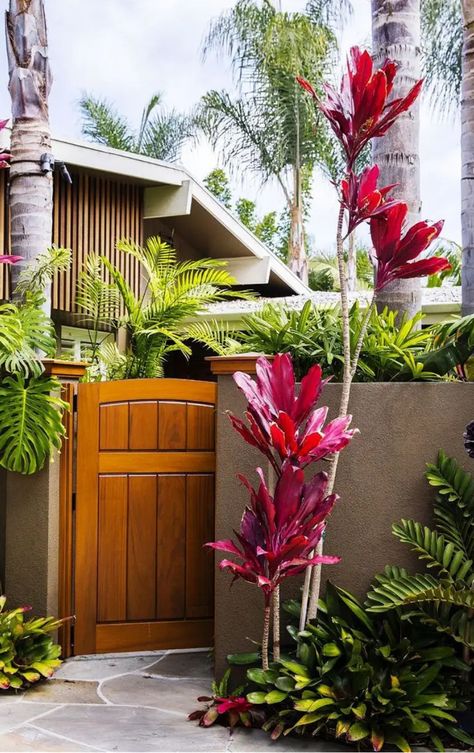 Landscape Edging Stone, Cordyline Fruticosa, Tropical Backyard Landscaping, Red Banana, Kolam Air, Tropical Landscape Design, Outdoor Gate, Florida Landscaping, Tropical Garden Design