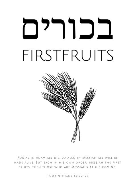 Firstfruits or Bikkurim (בכורים in Hebrew alphabets) with the bible verse from ‭‭1 Corinthians‬ ‭15:22-23. Jesus (Yeshua in Hebrew) is the firstborn from the dead (Col 1:18) & the firstfruits of the Resurrection (1 Corinthians 15:20). Check here for similar items - https://www.etsy.com/sg-en/shop/VeritasDesignStudio?section_id=39510379 Godly Poetry, Yeshua In Hebrew, Jesus In Hebrew, Hebrew Scriptures, Hebrew Language Words, Hebrew Vocabulary, Hebrew Quotes, Hebrew Lessons, English To Hebrew