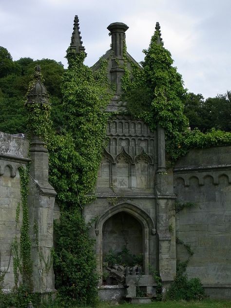 Castle in Margam, Wales, GB Wales, Ivy, Old Castle, Old Building, Castle, Building