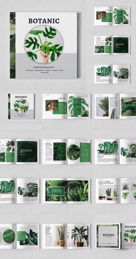 Portfolio Layout Template, Indesign Portfolio Template, Indesign Portfolio, Book Design Templates, Catalog Design Layout, Photography Portfolio Template, Magazine Layout Inspiration, Catalogue Layout, Indesign Magazine Templates