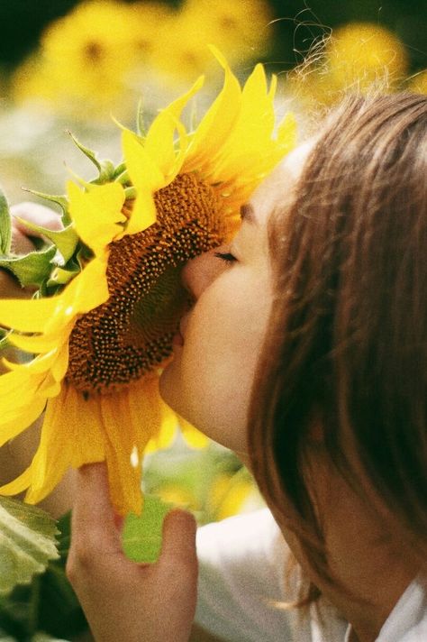 Sunflower Field Photography, Sunflower Field Pictures, Whimsical Photography, Sunflower Photography, Artsy Photography, Sunflower Photo, Flower Photoshoot, Sunflower Pictures, Beautiful Flowers Photography