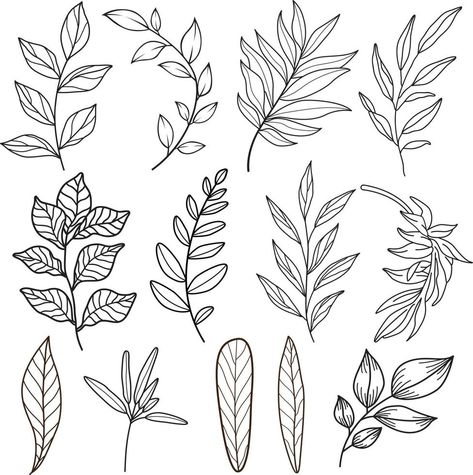 Foliage Drawing, Doodle Flowers, Drawing Pattern, Simple Line Drawings, Drawing Vector, Leaf Drawing, Floral Drawing, Leaves Design, Hand Drawn Flowers