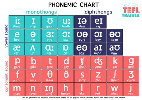 Phonemic Chart and IPA – Your English Hub English Phonetic Alphabet, Ipa Phonetics, Phonetic Chart, English Phonetics, International Phonetic Alphabet, Teacher Data, Pronunciation English, Speech Therapy Tools, Phonics Chart