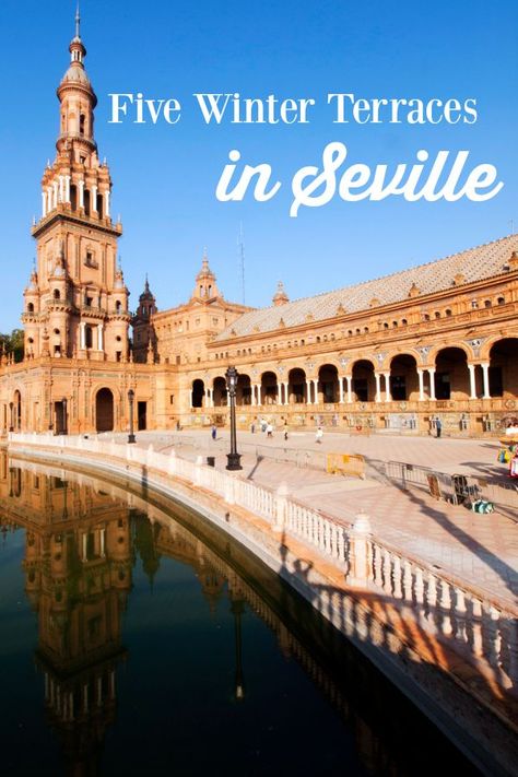 Devour Seville's list of top five winter terraces in Seville Budapest Travel, Orange Trees, Trip To Spain, Ibiza Beach, Sevilla Spain, Spanish Culture, Travel Spain, Places In Europe, Barcelona Travel