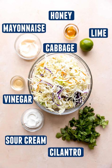 Slaw Mix For Fish Tacos, Fish Tacos With Cabbage Slaw Dressing, Fish Tacos Coleslaw Recipe, Fish Slaw Recipe, Shrimp Taco Coleslaw Slaw Recipes, Coleslaw For Fish Tacos Slaw Recipes, Slaw Recipes For Fish Tacos, Fish Taco Toppings Ideas, Fish Tacos Toppings