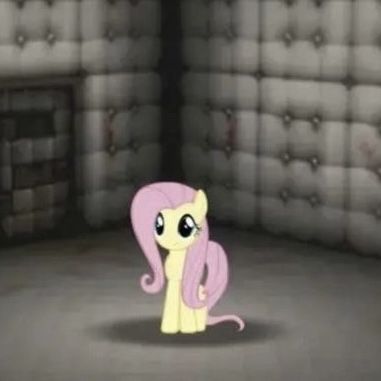 Fluttershy, Wall