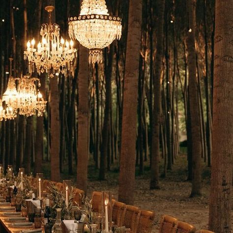 Thalytha | Wedding Compassion | Weddingplanner on Instagram: "Creating magic. From handpicking each chandelier to crafting the perfect tablescape from scratch, this setting turned an empty off-season forest into an enchanting escape. The soft glow of lights and the rustic charm of nature—where simplicity meets elegance.    Dreamlocation @tenutasavoca  Weddingplanner @weddingcompassion  Couple @carmenreijinga @karimbrachen  Photographer @ruthbehindthecamera   Stylist @lucamanuli   #destinationwedding #dreamwedding #weddinginspiration #weddingvenue #weddingdecor #weddingstyling #weddingplanner" Forest Chandelier, Wedding Aesthetic Ideas, Forest Wedding Aesthetic, Enchanting Forest, White Pillar Candles, Natural Decor, Rustic Cake, Hanging Crystals, Wedding Aesthetic