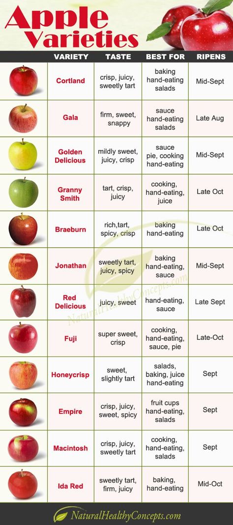 Apples 🍎 Types Of Apples, Apple Varieties, Food Charts, Food Info, Food Facts, Fruit Recipes, Apple Recipes, Fruits And Veggies, No Cook Meals