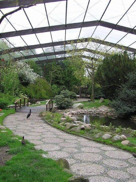 Bird Atrium In House, Tiny House Pods, Bird Atrium, Aviary Greenhouse, Bird Enclosure, Katt Grejer, Zoo Architecture, Outdoor Cat Enclosure, Cat Sanctuary