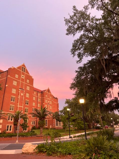 Fsu Acceptance Letter, Fsu Campus Aesthetic, Florida State Aesthetic, Fsu College Aesthetic, Florida State University Aesthetic, Florida College Aesthetic, Fsu Aesthetic, Deborah Core, Fsu Campus