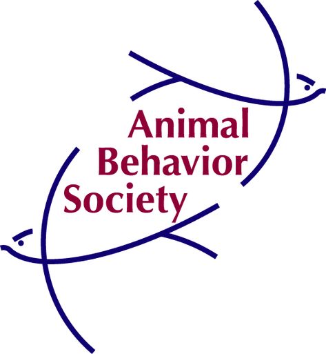 Animal Behavior Society Animal Behavior Science, Experimental Psychology, Operant Conditioning, Dog Behavior Training, Animal Behaviorist, Secondary Teacher, Animal Science, Senior Cat, Reference Letter