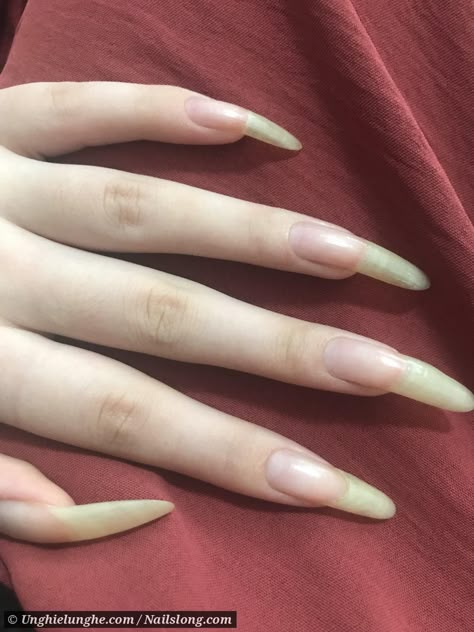 Real Long Nails, Short Acrylic Almond, Nails Plain, Jumper Nails, Long Red Nails, Nails Short Acrylic, Long Natural Nails, Long Fingernails, Nail Art Simple