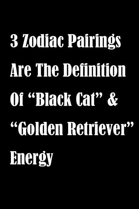 3 Zodiac Pairings Are The Definition Of “Black Cat” & “Golden Retriever” Energy – Read Catalogs Black Cat And Golden Retriever, Black Cat Personality, Golden Retriever Energy, Black Cat Energy, Gold Retriever, Zodiac Pairings, Cat Energy, Leo And Aquarius, Zodiac Signs Relationships