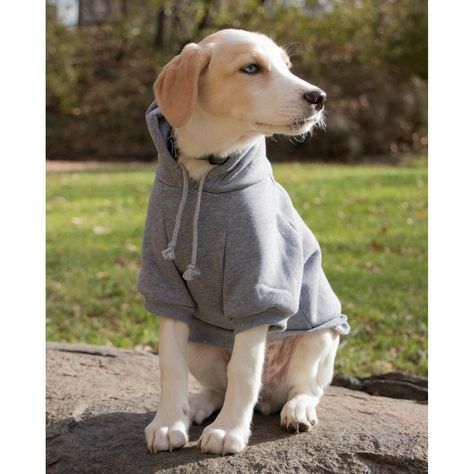 Fashion Plush Cotton Pet Hoodie Hooded Sweater Cat Leash, Grey Dog, Cat Hoodie, Pet Life, Dog Images, Dog Hoodie, Dog Sweater, Plush Dog, Large Animals