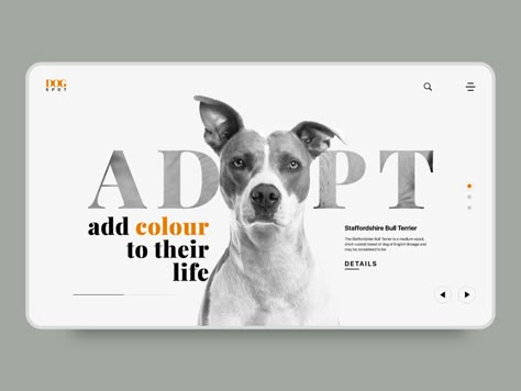 Pet Websites, Web Landing Page, Website Moodboard, Unique Website Design, Social Media Branding Design, Creative Website Design, Webpage Design, Book Design Layout, Ui Design Inspiration