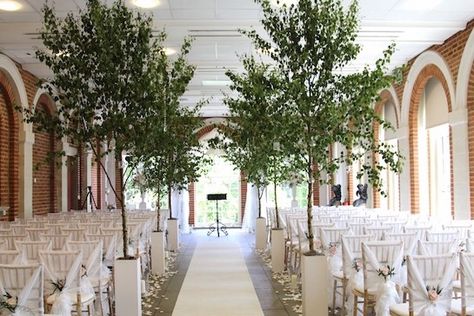 Ceremony Flowers Aisle, Blossom Tree Wedding, Tree Wedding Ceremony, Birch Tree Decor, Wedding Tree Decorations, Birch Tree Wedding, Trees Wedding, Birch Wedding, Wedding Ceremony Unity