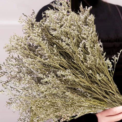 Amazon.com: Preserved Natural Limonium Bouquet, 25+ Stems Real Fresh Caspia Bellidifolium, Sea Lavender,Baby Breath Flowers,for Wedding Birthday,Home Décor,Gift for Mother,Valentine’s Day,Rustic Holiday(Original) : Home & Kitchen Limonium Bouquet, Sea Lavender, Natural Bouquet, Grass Bouquet, Bouquet Home Decor, Mother's Day Bouquet, Breath Flowers, Flowers For Wedding, Rustic Holiday Decor