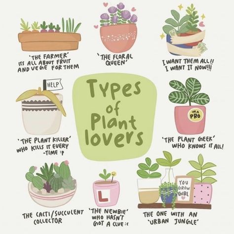 Plant Lady Aesthetic, House Plant Aesthetic, Plants Facts, Types Of House Plants, Plant Instagram, Plant Mom Aesthetic, Doodling Art, Household Plants, Plant Care Houseplant