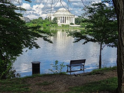 Tidal Basin Dc, Dc Trip, Potomac River, Dc Travel, Washington Dc, Bucket List, Arizona, Washington, Walking