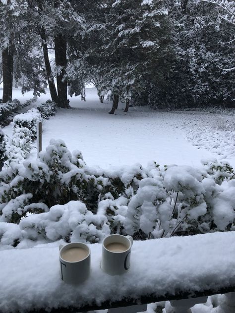 Snow and coffee .. front porch sitting..Evergreen Farm Snow And Coffee, Front Porch Sitting, Porch Sitting, Snow Photography, Winter Inspo, I Love Winter, Winter Vibes, Winter Magic, Winter Scenery