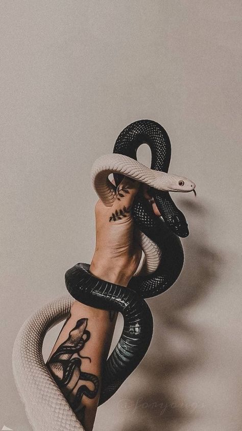 Live Wallpaper Iphone Moving, Wallpaper Iphone Moving, Live Wallpaper Iphone Moving Aesthetic, Moving Aesthetic, Aesthetic Snake, Long Live The Queen, Pretty Snakes, Snake Wallpaper, Not Musik