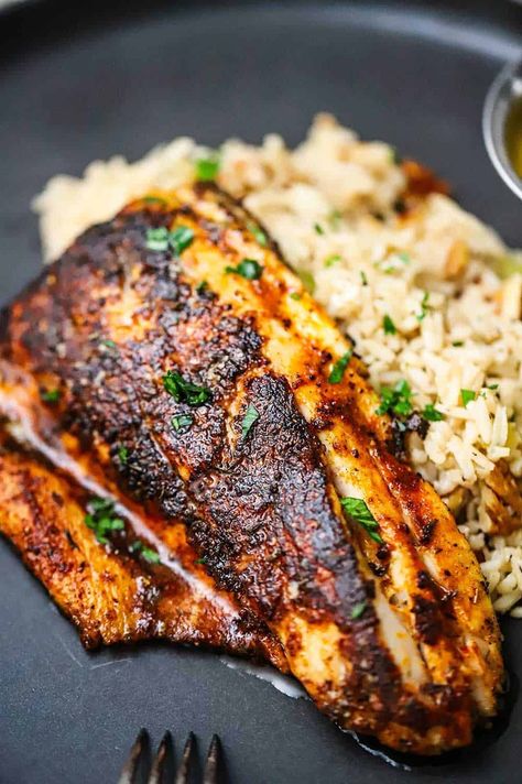 A close-up view of a blackened redfish filet resting on a bed of rice pilaf on a black dinner plate. Blackened Tilapia Recipes, Seasoning Fish, Blackened Redfish, Fish Tilapia, Tilapia Recipes Easy, Blackening Seasoning, Blacken Fish, Seafood Dinners, Blackened Tilapia