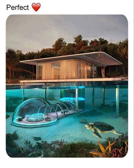 Best Travel Destinations 2023, Underwater Bubbles, Life Underwater, Architecture Cool, Underwater House, Ocean Turtle, Water Villa, Koh Phangan, Glass Sphere