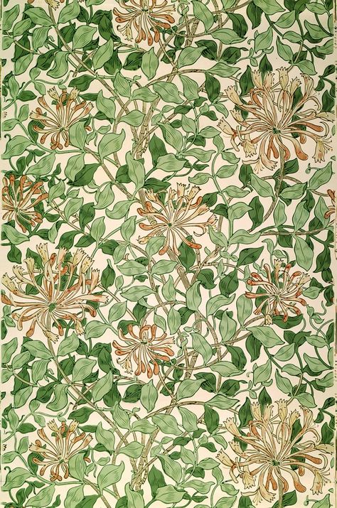 How to do an Arts & Crafts interior | House & Garden May Morris, William Morris Wallpaper, William Morris Patterns, Morris Wallpapers, William Morris Art, Living In London, William Morris Designs, Plakat Design, Arts Crafts Style